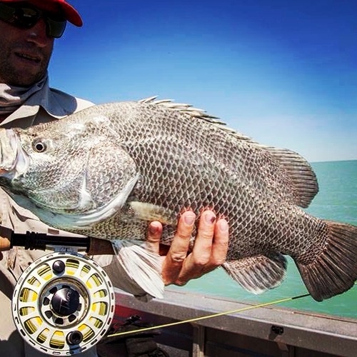 Recfishwest backs sensible marine park plan